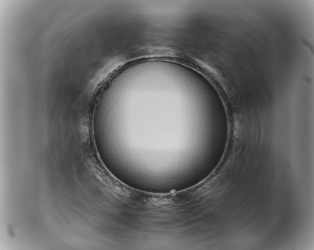 X0000102271407200808011417