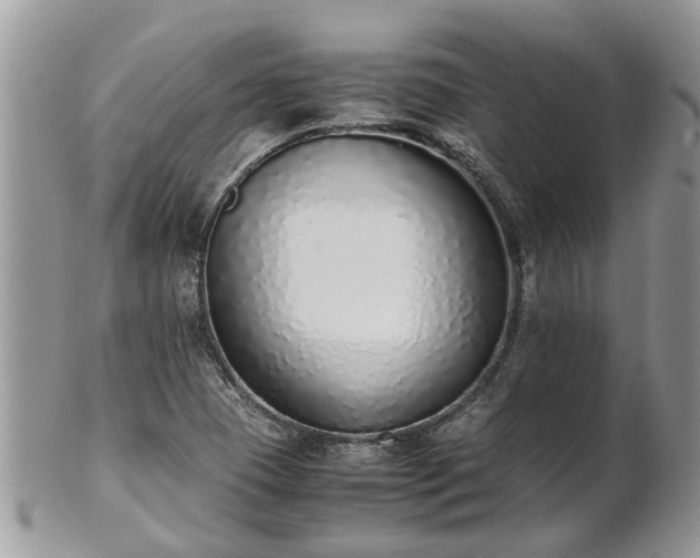 X0000102271409200808011417