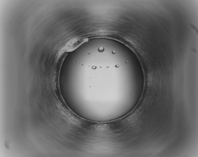 X0000102271410200808011417