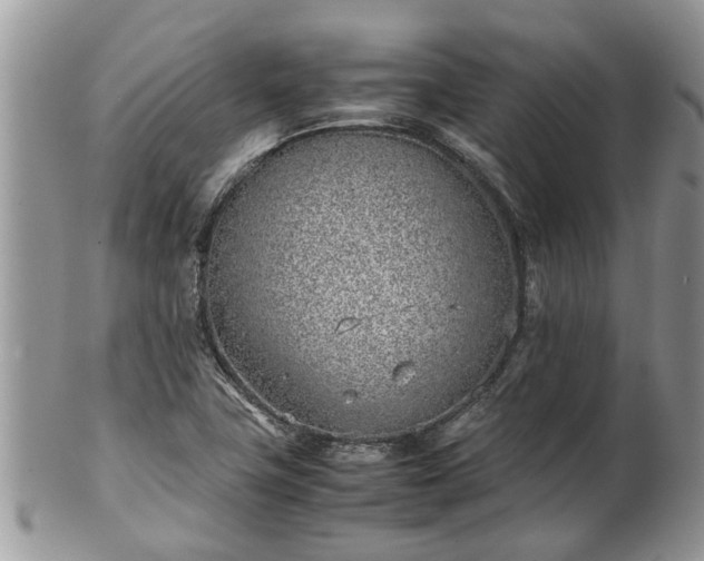 X0000102271411200808011417