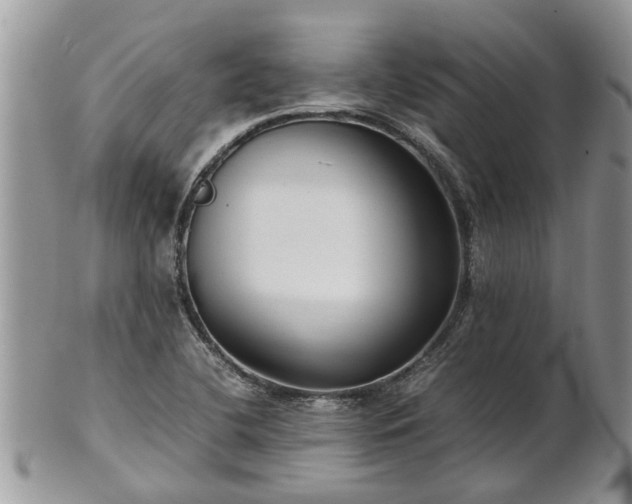 X0000102271412200808011417