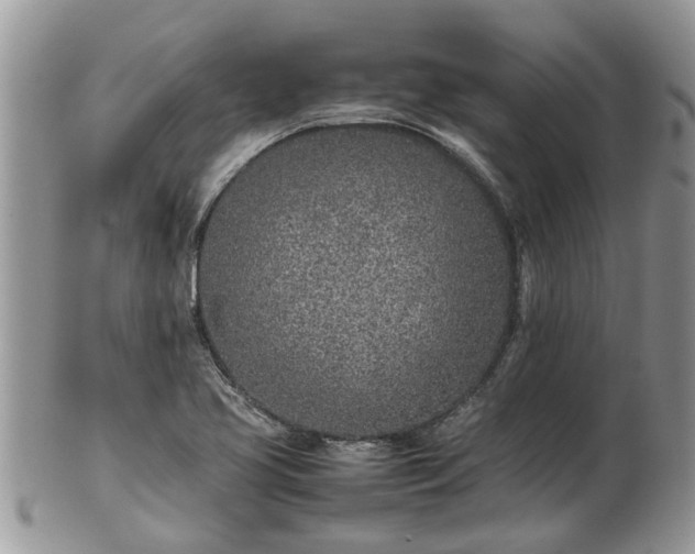 X0000102271413200808011417