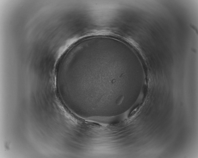 X0000102271414200808011417