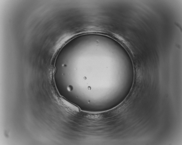 X0000102271415200808011417