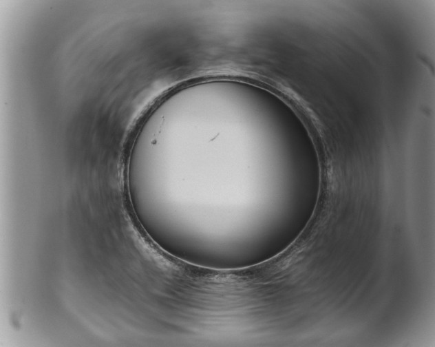X0000102271416200808011417