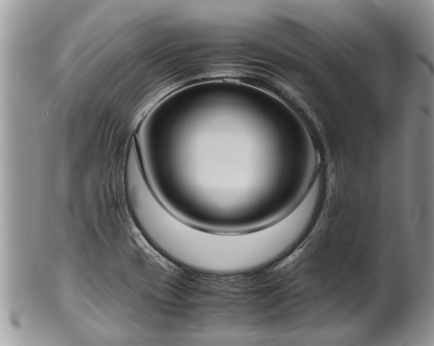 X0000102271417200808011417