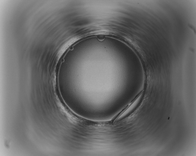 X0000102271418200808011417