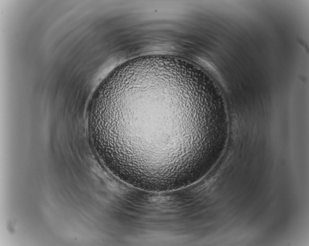 X0000102271419200808011417
