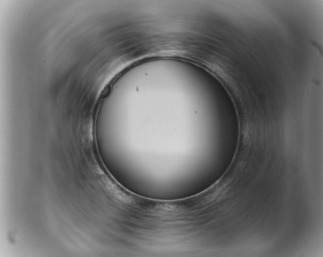 X0000102271420200808011417