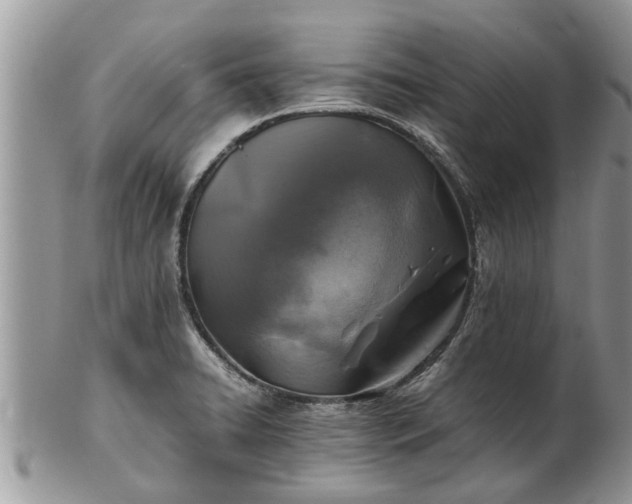 X0000102271422200808011417