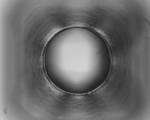 X0000102271423200808011417