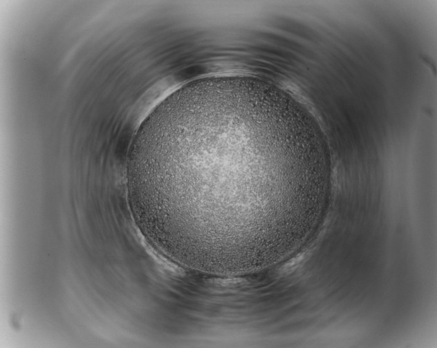 X0000102271425200808011417