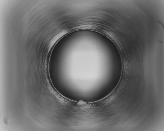 X0000102271426200808011417