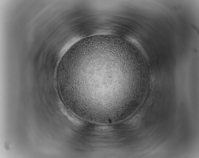 X0000102271427200808011417