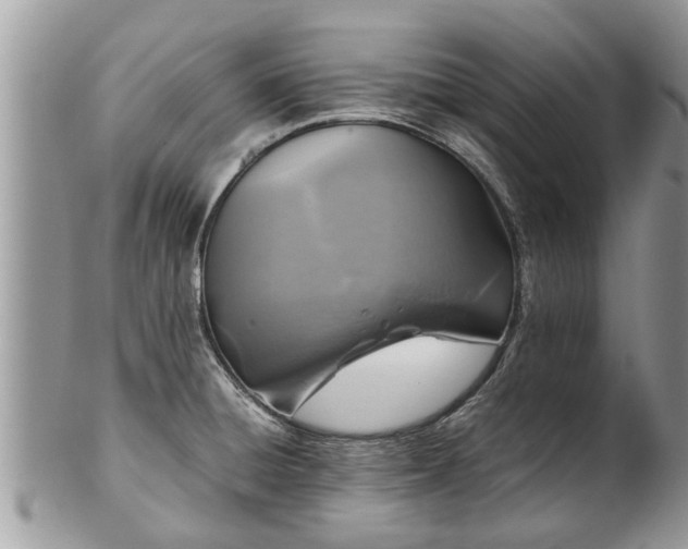 X0000102271428200808011417