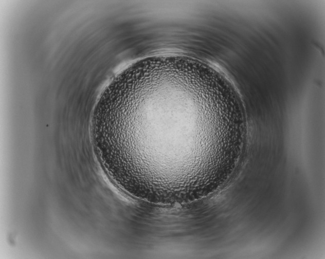 X0000102271429200808011417