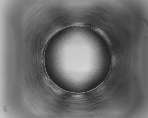 X0000102271435200808011417