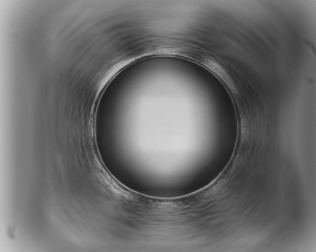 X0000102271436200808011417