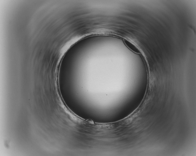 X0000102271437200808011417