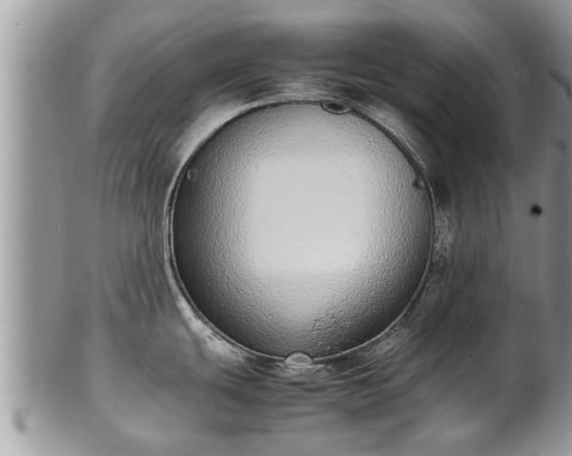 X0000102271439200808011418