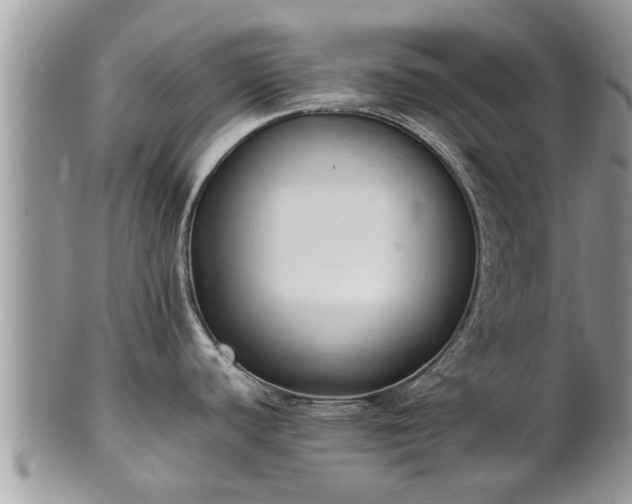 X0000102271440200808011418