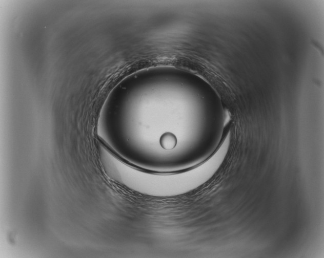 X0000102271441200808011417