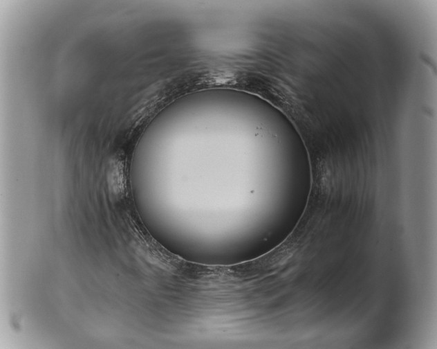 X0000102271442200808011417