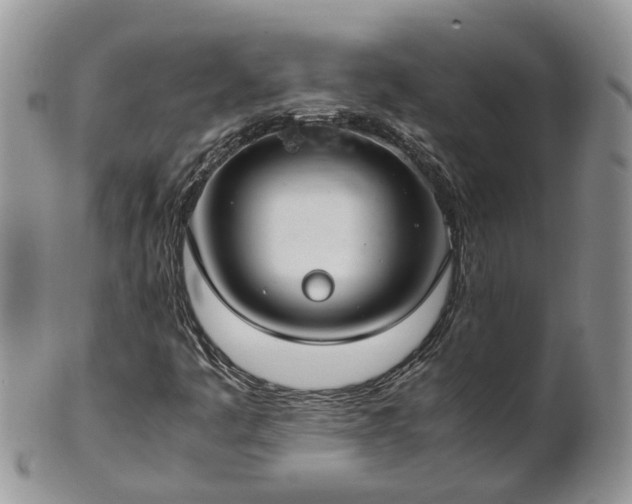 X0000102271445200808011417