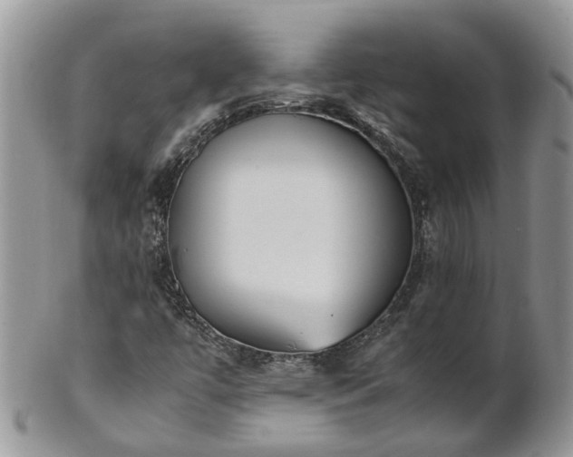 X0000102271447200808011417