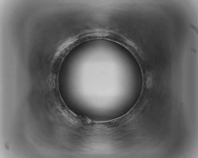 X0000102271448200808011417