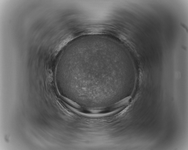 X0000102271449200808011417
