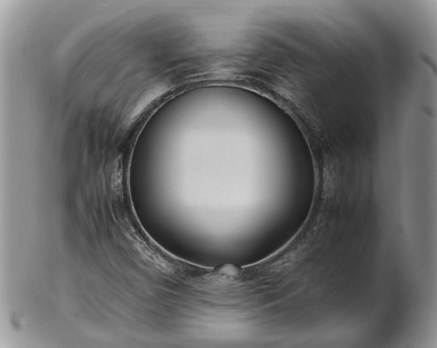 X0000102271450200808011417