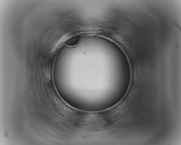 X0000102271451200808011417