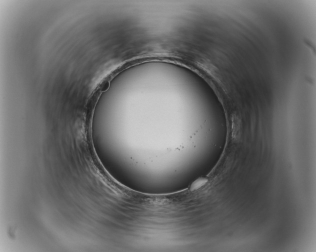 X0000102271452200808011417