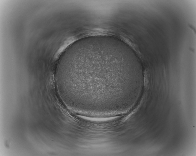 X0000102271453200808011417