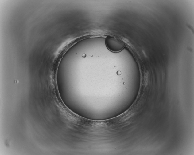 X0000102271454200808011417