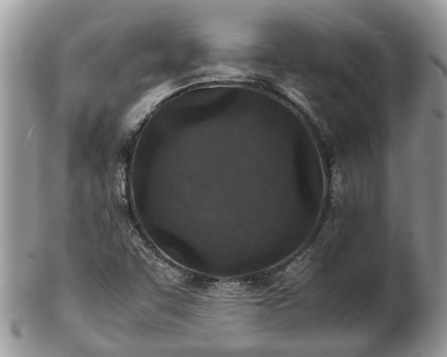 X0000102271455200808011417