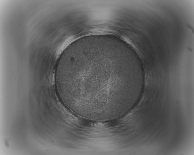 X0000102271459200808011417
