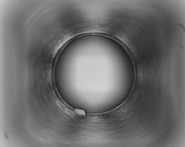 X0000102271460200808011416