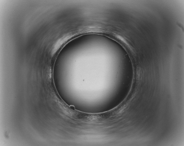 X0000102271461200808011416
