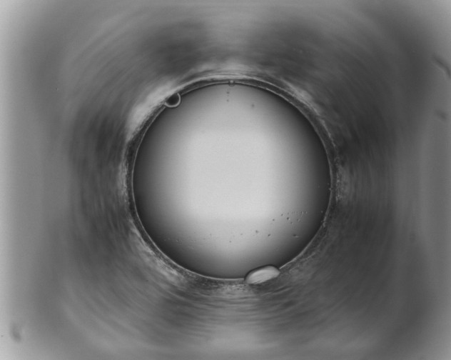 X0000102271464200808011416