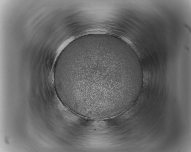 X0000102271466200808011416