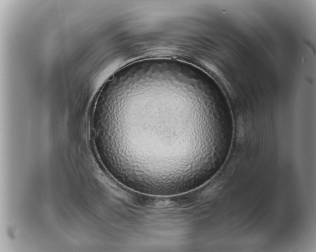 X0000102271467200808011416