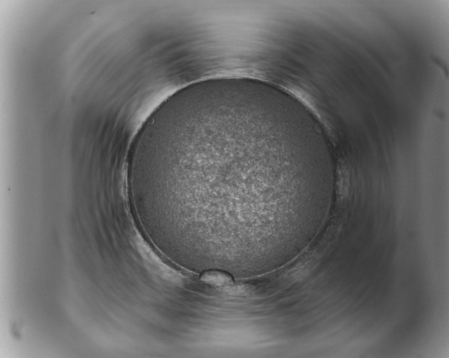 X0000102271468200808011416