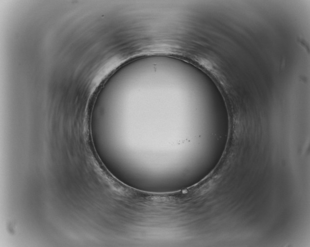 X0000102271469200808011416