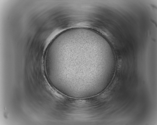 X0000102271470200808011416
