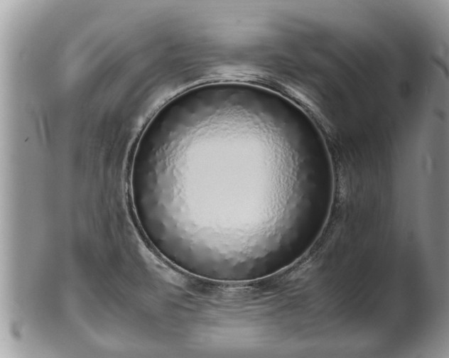X0000102271471200808011416