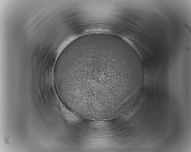 X0000102271474200808011416