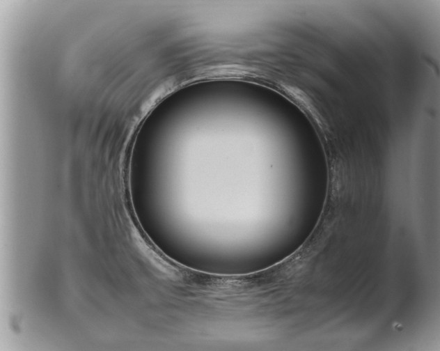 X0000102271475200808011416