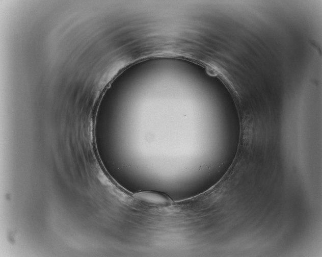 X0000102271476200808011416